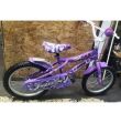 Sweet Kids Bike
